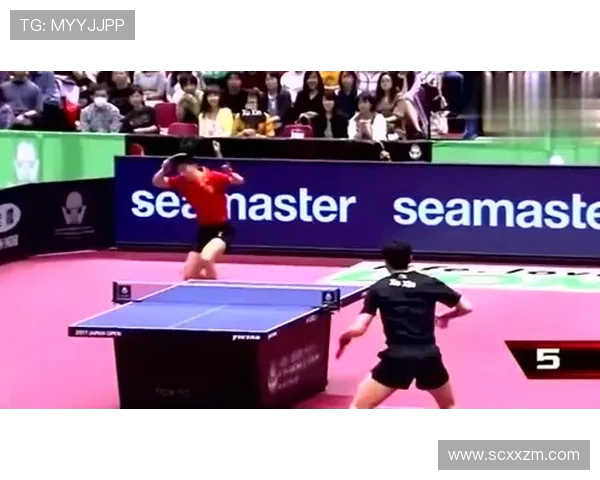 从零基础到高手之路乒乓球比赛全方位技巧与经验分享 从零基础到高手之路乒乓球比赛全方位技巧与经验分享