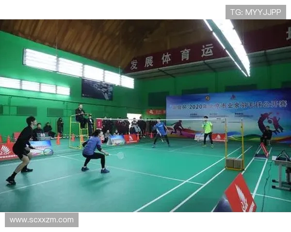 北京羽毛球队在杯赛中的技术表现分析与点评 北京羽毛球队在杯赛中的技术表现分析与点评