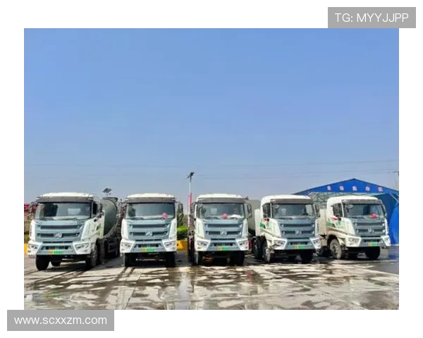 成都排球队转型之路:从传统强队到现代化竞技新标杆的深度解析