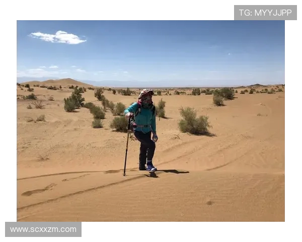 深度探讨杨芳在DOTA2世界中的成长与挑战之旅 深度探讨杨芳在DOTA2世界中的成长与挑战之旅