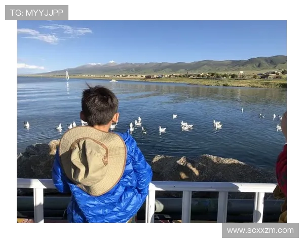 重庆乒乓球队区域防守革新之路探索与实践分析