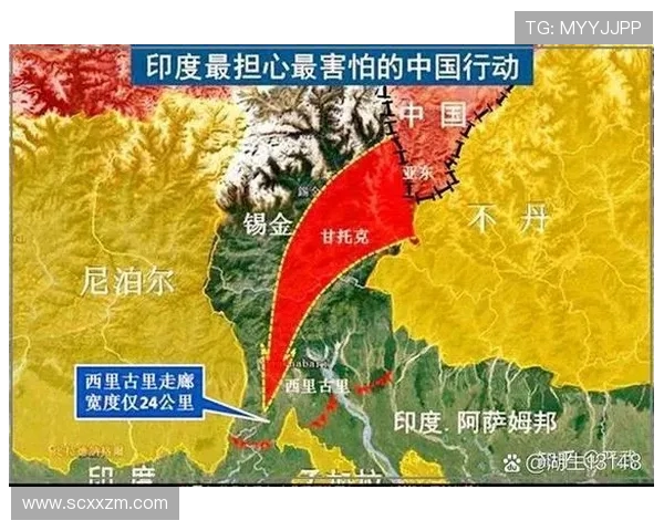 尼威与巴拉镇的激烈对决揭示了足球战术的博弈与团队协作的重要性