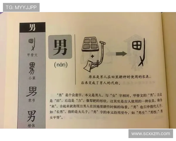 谢什科的传奇人生与不为人知的历史故事探秘