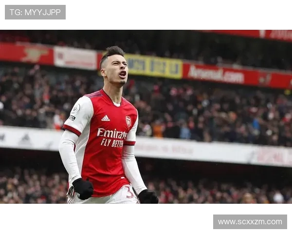 马丁内利的崛起之路：从青涩小将到足坛新星的精彩旅程