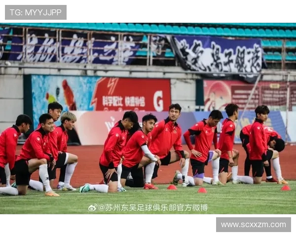 南京排球队的反击革新之路：重塑战术与团队精神的全新探索