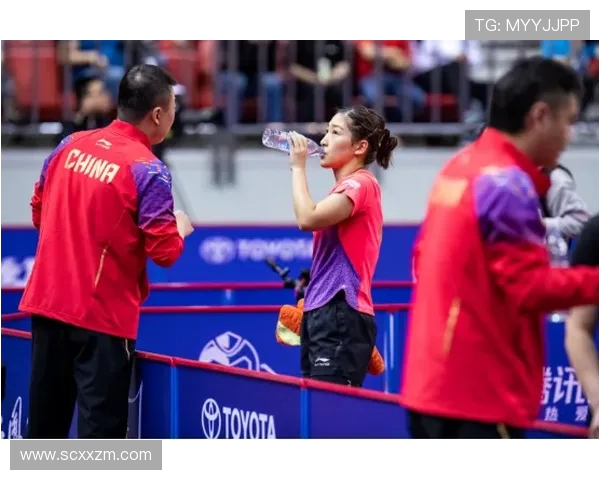 成都乒乓球队耐力争议引发热议球迷与专家各执己见