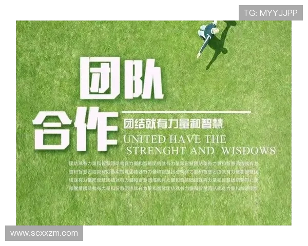 攀岩团队协作实力榜单权威发布揭示顶尖团队实力与合作潜力