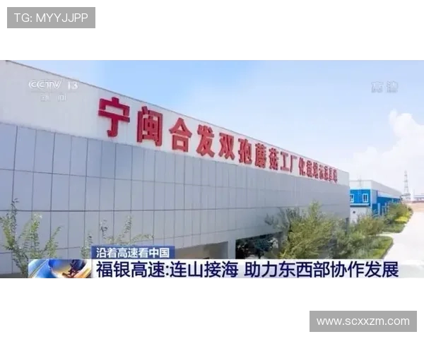 杭州羽毛球队配合变革引发热议助力竞技水平提升与团队协作发展 杭州羽毛球队配合变革引发热议助力竞技水平提升与团队协作发展