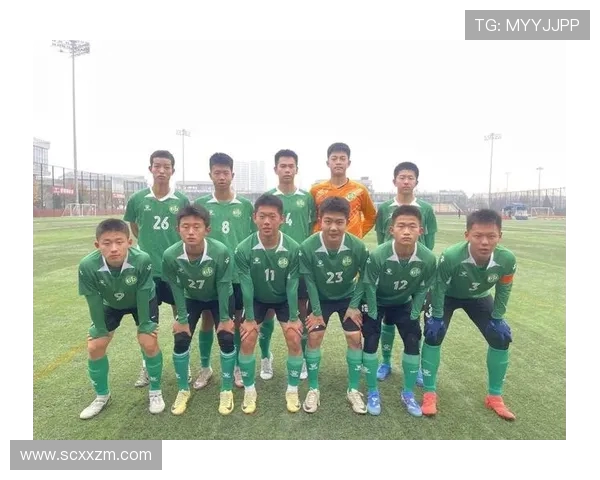 西安足球队在锦标赛中的表现分析与状态评估全景解读 西安足球队在锦标赛中的表现分析与状态评估全景解读