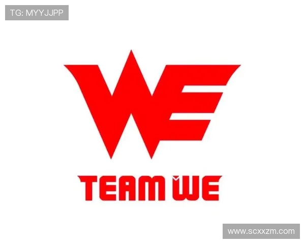 WE战队运营分析：从胜利到失利的关键转折与经验教训