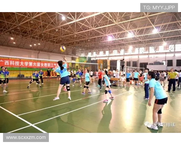 上海排球队战术解析与大满贯赛事表现评析